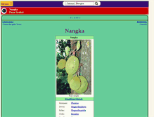 Tablet Screenshot of nangka.info